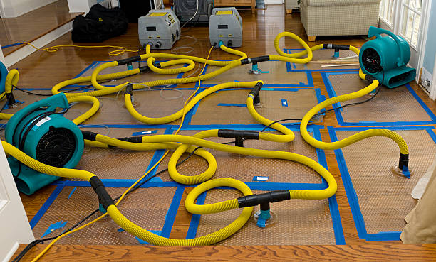 Professional Water Damage Restoration technician working in Paxton, IL